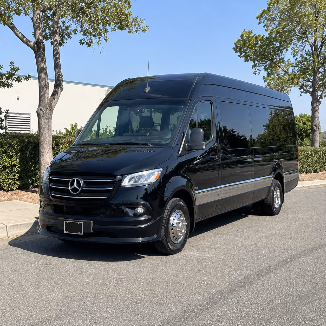 pueblo 8 passenger sprinter van